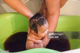 Image result for Marquesia