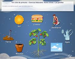 Juegos para niños en línea se dividen en las discusiones, para que sea más fácil encontrar diversión, correspondiente al estado de ánimo juegos para niños de tres en una fila tomar una posición de liderazgo en la categoría. Juego Sobre Las Plantas Recursos Educativos Digitales
