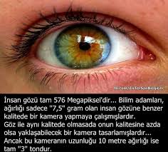 Nese Nin Gozdeleri Bilgi Biliyor Muydunuz Derin Alintilar