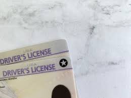 When is the best time to get your drivers license photo taken? 7 Best Driver S License Holders Kalibrado