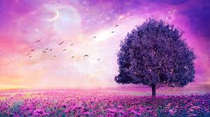 Image result for purple wallpaper