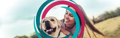 Simparica Trio Zoetis Petcare Simparica trio is the first monthly chewable designed to protect your dog from heartworm disease simparica trio zoetis petcare