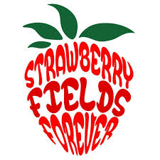 Probably the most unusual element in the beatles logo is the letter t, which is bigger than it should and has a longer than usual vertical bar. Beatles Songs Svg Cuttable Designs Beatles Crafts Beatles Silhouette The Beatles