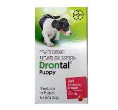 How often should a dog be treated for worms? Bayer Drontal Dewormer For Puppies 20 Ml Nappets