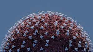 After the delta variant rocked india in a deadly second wave, health authorities have discovered a india's health ministry declares new delta variant mutation. Immer Mehr Corona Infektionen Mit Delta Variante Kindersache