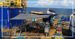 Octopoda achieves a world-first. For the first time in the world, an…