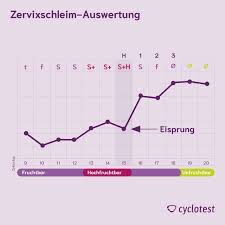 Blähungen während des eisprungs kann aufgrund eines anstiegs des östrogenspiegels entstehen, bevor es zum anstieg des luteinisierenden hormons (lh) kommt. Zervixschleim Ausfluss Vor Eisprung Periode Bestimmen Cyclotest