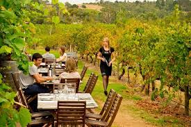 This Is A Stunning View Of The Ekhidna Winery Located In Adelaide S Mclaren Vale Region Enjoy A Weekend Adelaide South Australia Winery Tours South Australia