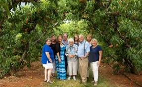 We also grow strawberries, blueberries, apples, and pumpkins plus flowers and seasonal vegetables. Peaches In The Piedmont