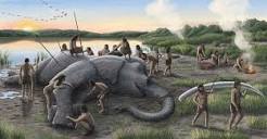 Straight-tusked elephant exploitation by Neanderthals – Popular ...