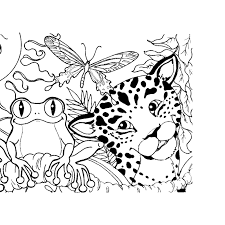 Search through 623,989 free printable colorings at getcolorings. Jungle Scene Coloring Pages Coloring Home