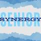 Senior Synergy