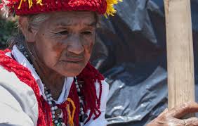 The guarani were one of the first peoples contacted after europeans arrived in south america around 500 years ago. Guarani