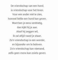 De Vriendschap Van Een Hond Honden Gedichten Honden Honden Teksten