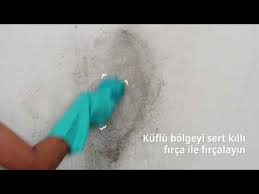 Duvar yüzeylerinin uzun süre nem ya da suya maruz kalması da küf sporlarının üremesini tetiklemektedir. Kuf Lekesi Nasil Cikar 100 Kesin Cozum Dekordiyon
