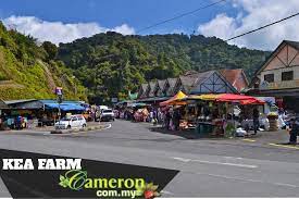 Cameron highland (金馬崙高原), is one of the premier hill resorts situated in the state of pahang, peninsular malaysia. Kea Farm Cameron Highlands Online