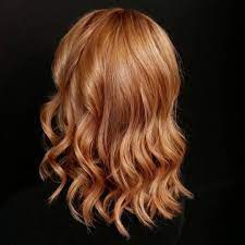 Colore in olio per capelli a base di ginseng, olio di girasole mirtillo rosso. Pin Su Hair