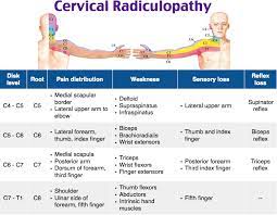 Pin On Abem Boards Review