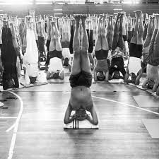 Sirsasana Bksiyengar Iyengaryoga Iyengarcommunity Iynaus Inversion Yoga Iyengarmethod Viparitasthiti Iyengar Yoga Ashtanga Yoga Yoga