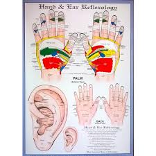 Ear Acupressure Hand Reflexology