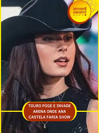 Touro foge e invade arena onde público aguardava show da Ana Castela  #entretenews #anacastela #celebridades #famosos #polemica #fofoca