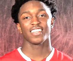 Stanley Johnson (basketball) Biography