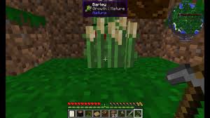 You play minecraft and want to know how to install certain mod? All The Mods 3 Lite Server