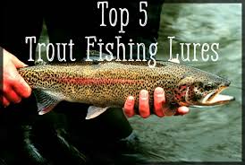 Free ship to store on all orders. Top 5 Best Trout Lures Skyaboveus