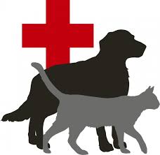 Check spelling or type a new query. Animal Clinics