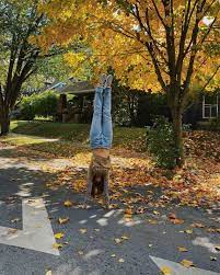 Debby ryan/instagram ryan announced her engagement in december of 2018 after dun proposed in new zealand. Debby Ryan Instagram Photos 12 01 2019 Hawtcelebs