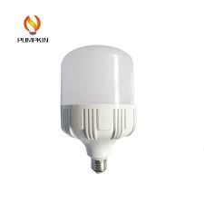 We have brought to you a variety of led bulbs along with led retrofit and recessed lighting systems. China Low Cost New Designed Led T100 Shape 30w Led Bulb China Led Bulb Light Led Light