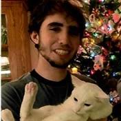 Dibernardo Family Obituaries