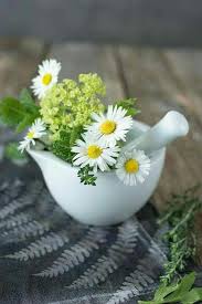 Pin By Xxajhrdaisy On Daisies Daisy Flower Sunflowers And Daisies Flowers Bouquet