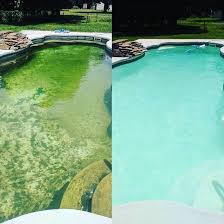 Go From Green To Clean