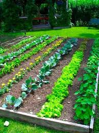 12 Best Backyard Vegetable Garden Design Ideas For Vegetable Lovers Page 2 In 2020 Vegetable Garden Design Starting A Vegetable Garden Home Vegetable Garden Design