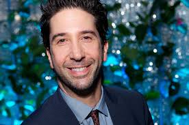 David Schwimmer joins cast of new Channel 4 sitcom from 'Nighty Night'  creator Julia Davis