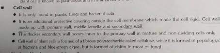 We did not find results for: Middle Lamella Is Mainly Composed Of