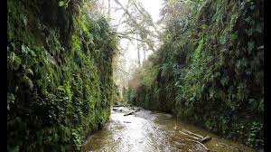 Fern canyon is a canyon in the prairie creek redwoods state park in humboldt county, california, western united states. Fern Canyon Hike In California Youtube