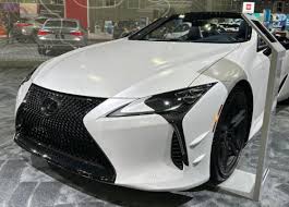 Image result for Polar Surge Satin 2024 LC