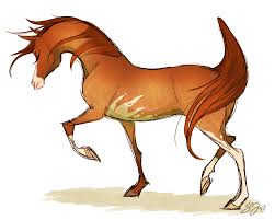 Arabian Horse Drawings Horse Art Animal Art