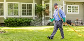 Image result for Spring Green 1977 Kelvinator