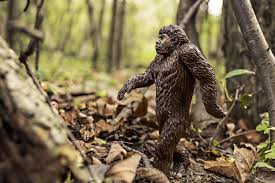 Maybe you would like to learn more about one of these? Finding Bigfoot At Salt Fork State Park During Creature Weekend