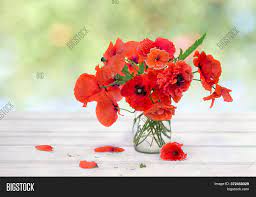 .de coquelicots intemporelles bouquet de coquelicots fleurs artificielles jour de printemps / durance — bouquet parfumé coquelicot boutique de vêtements pour femme boutique coquelicot. Bouquet Red Poppies Image Photo Free Trial Bigstock