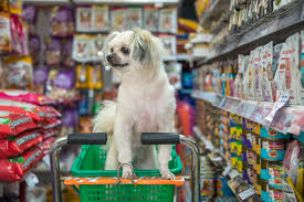 Pet foods market and supplies. Pet Food Store The Best Place To Get The Right Food For Your Pet How To Discuss