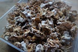 Ayo instal aplikasi snakc video nyah masukan kode yg tercantum di gambar ini. Kulat Sisir Goreng Dengan Telur Azie Kitchen