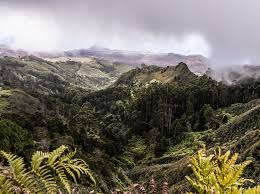 See tripadvisor's 1,002 traveler reviews and we have reviews of the best places to see in st helena island. Isolated St Helena Island Welcomes Its First Commercial Flight Conde Nast Traveler