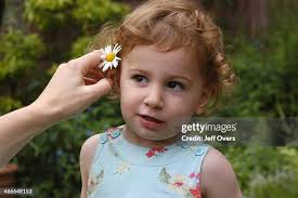 12 Honey Rose Pearson Stock Photos, High-Res Pictures, and Images