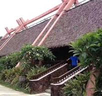 Bure Building Nylon Thatched Roof in Fiji-sfyh.com