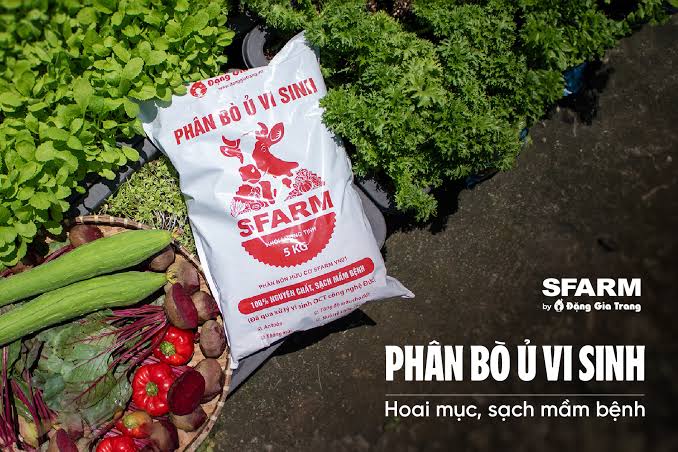 Phân bò SFARM trộn đất: Cần chuẩn bị thêm những nguyên liệu nào?