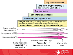 Chronic Obstructive Pulmonary Disease Springerlink